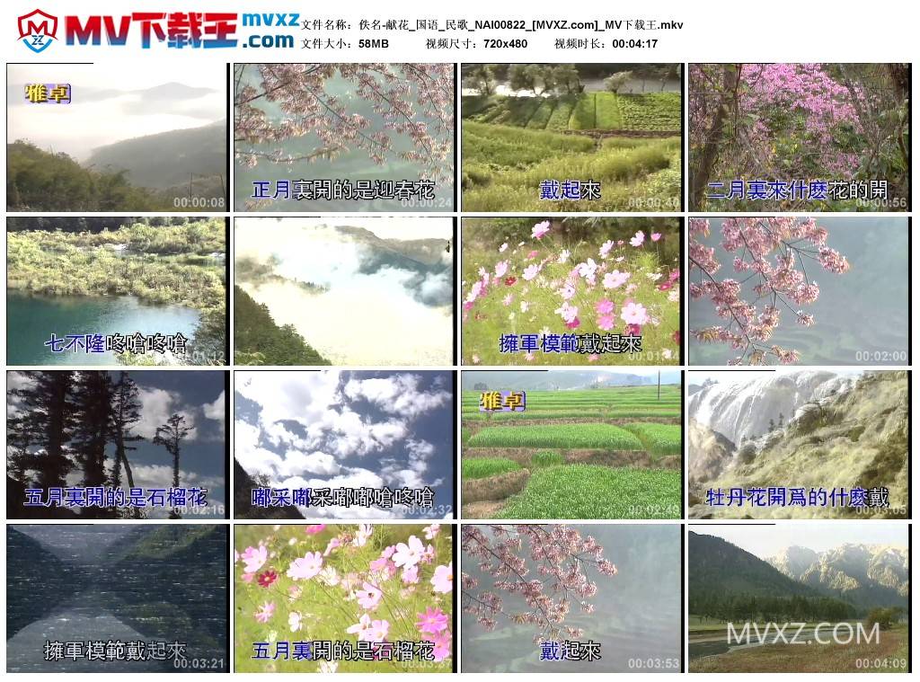 佚名-献花_国语_民歌_NAI00822